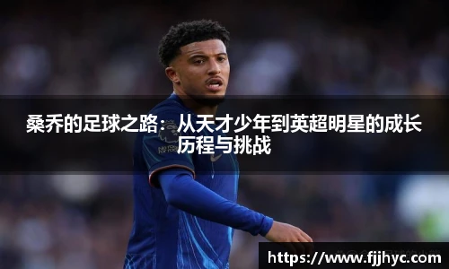 桑乔的足球之路：从天才少年到英超明星的成长历程与挑战