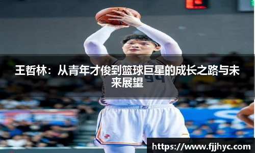 王哲林：从青年才俊到篮球巨星的成长之路与未来展望