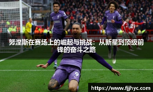 努涅斯在赛场上的崛起与挑战：从新星到顶级前锋的奋斗之路